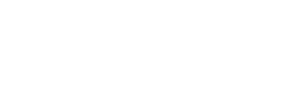 Venik Optom
